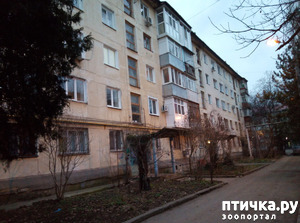 фотография: Бравый и его друзья - ч.1 фото: Бравый и его друзья - ч.1