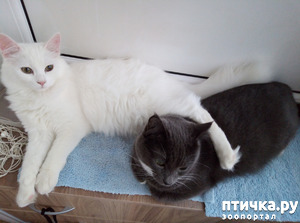 ����: �������� �� ������