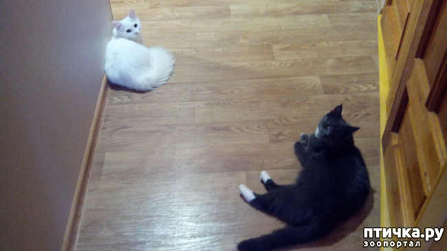 ���� 2: �������� �� ������