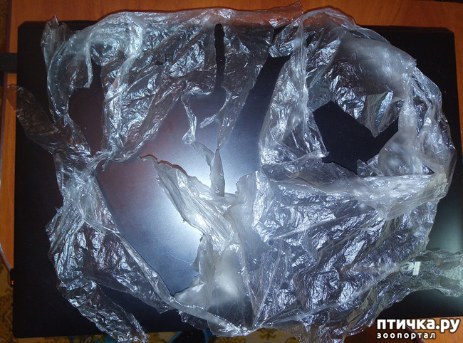 ���� 3: �������� �� ������