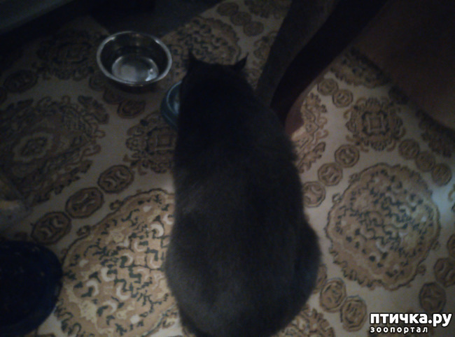 ���� 4: �������� �� ������