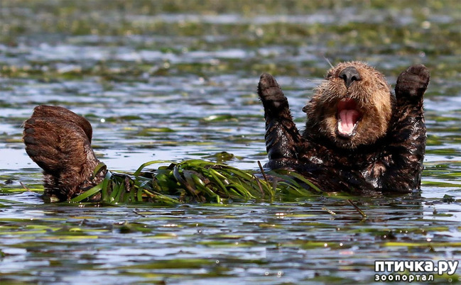 ���� 1: ��� �������� ����������