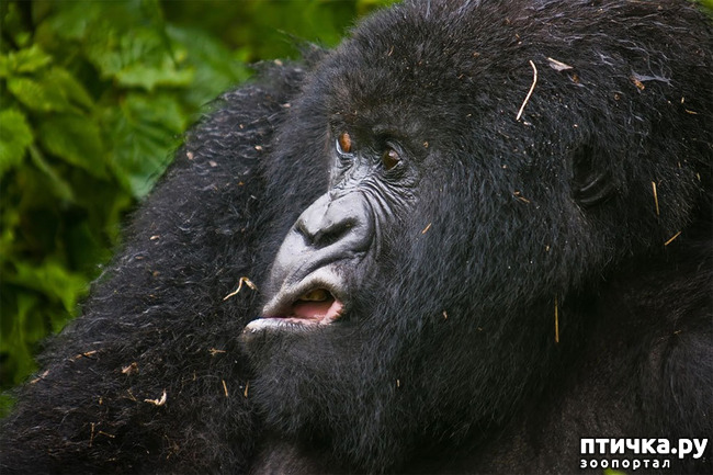 ���� 4: ��� �������� ����������