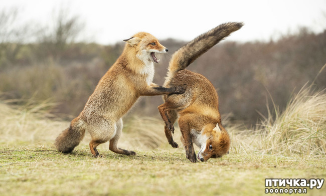 ���� 5: ��� �������� ����������