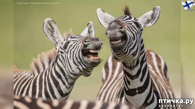 ���� 8: ��� �������� ����������