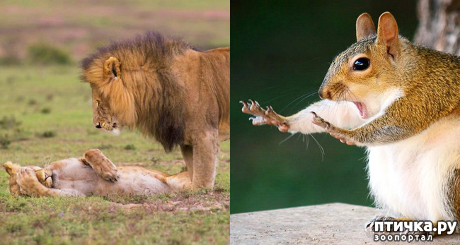 ���� 9: ��� �������� ����������