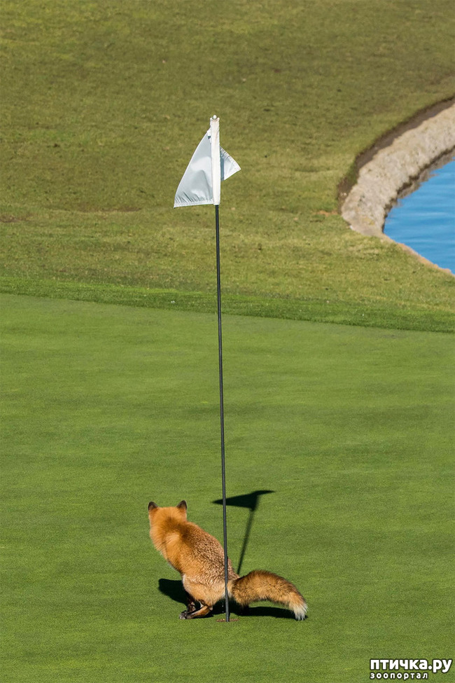 ���� 10: ��� �������� ����������