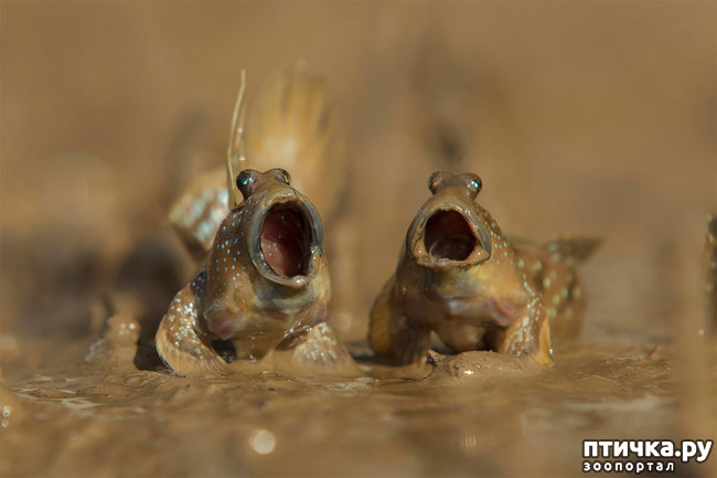 ���� 12: ��� �������� ����������