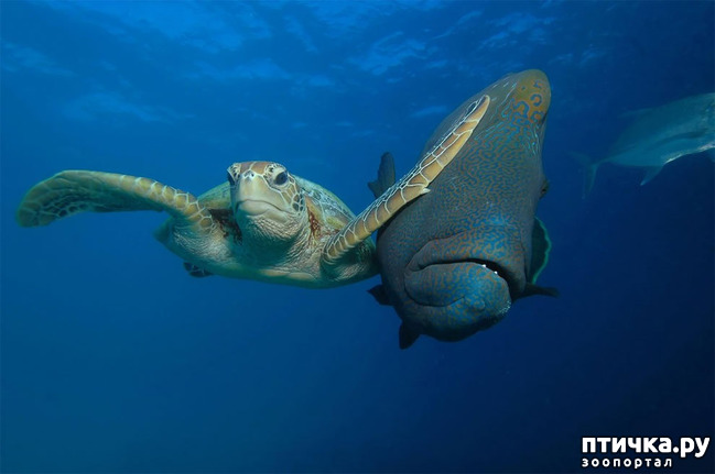 ���� 17: ��� �������� ����������