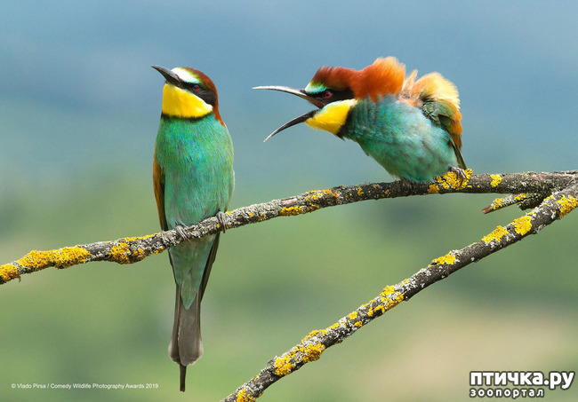 ���� 21: ��� �������� ����������