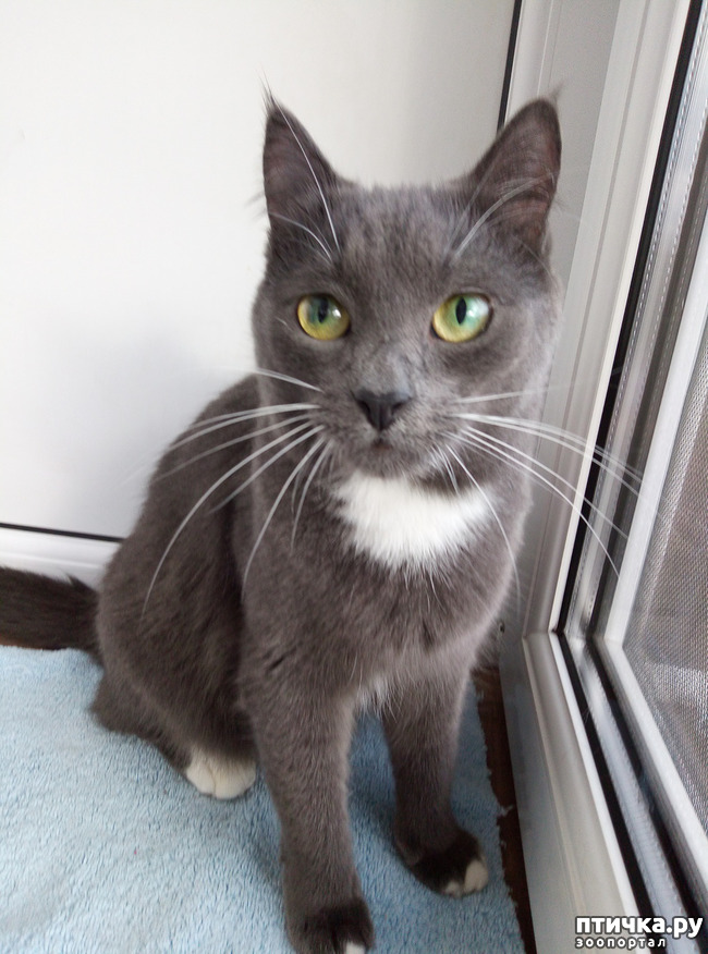 ���� 2: ������ �������