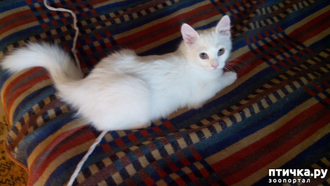 ���� 3: ������ �������