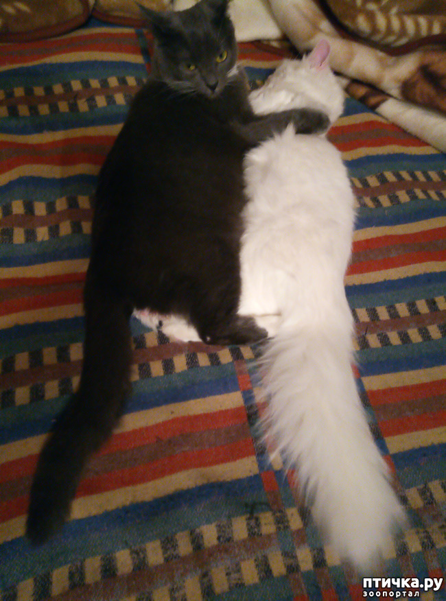 ���� 4: ������ �������