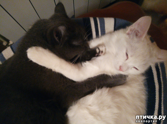 ���� 5: ������ �������