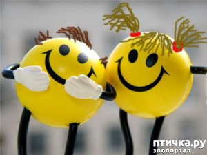 фотография: Маленький секрет для "тёплой" такой компании.. фото: Маленький секрет для "тёплой" такой компании..