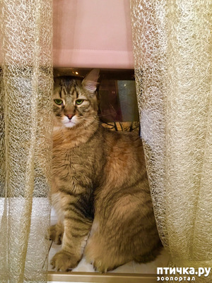 ����: ��� �������!