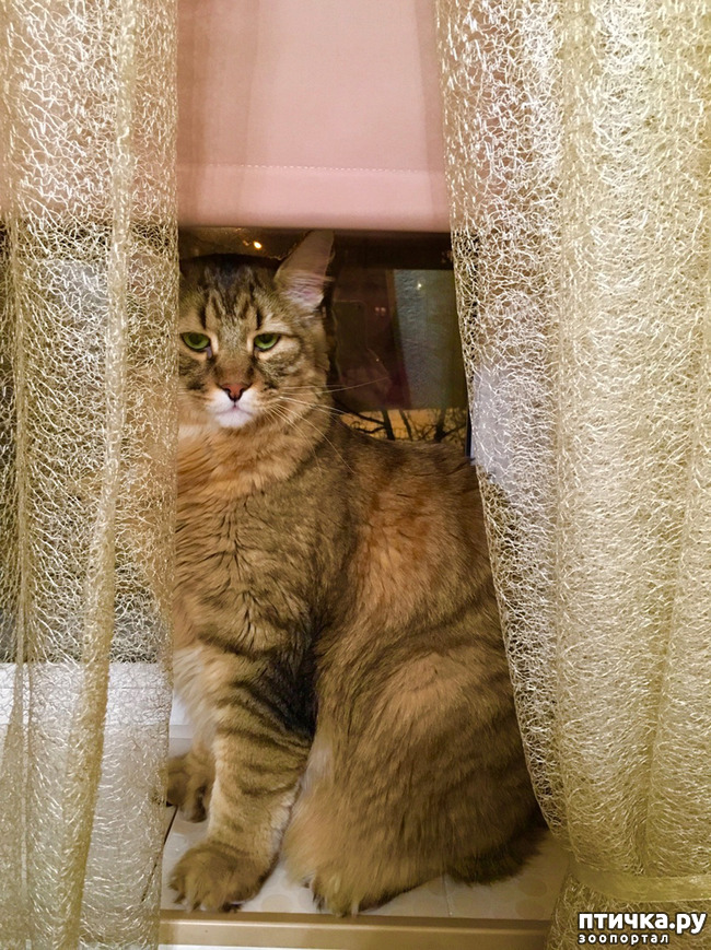 ���� 1: ��� �������!