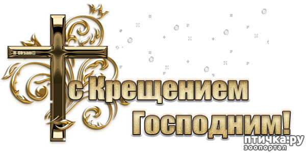 ���� 10: � ��������� ���������, ������� ��� ������!