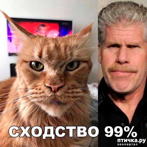 ���� 2: ���-��� � ������������...