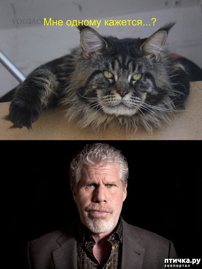 ���� 1: ���-��� � ������������...