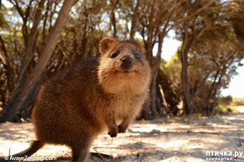 ���� 1: ����� ����������� �������� �� �����. ������.