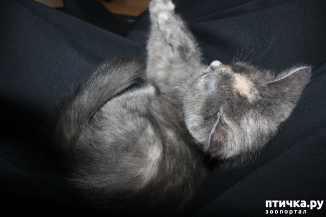 ���� 3: �������� �� ������