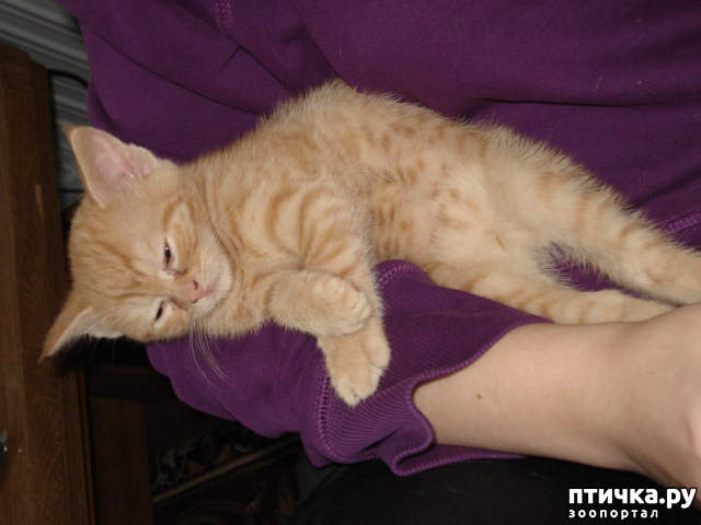 ���� 4: �������� �� ������