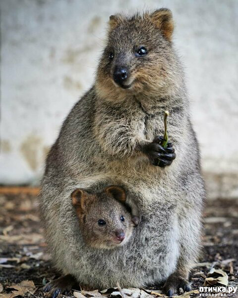 ���� 3: ����� ����������� �������� �� �����. ������.