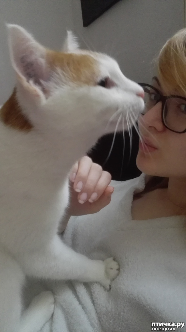 ���� 6: �������� �� ������