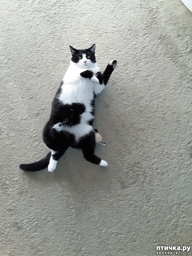 ���� 2: �������� �� ������