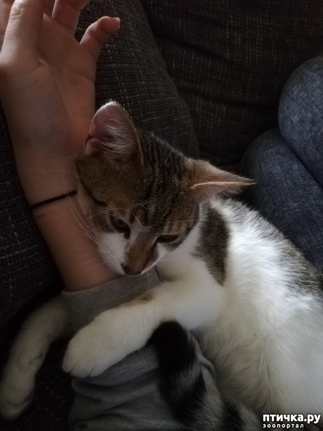 ���� 5: �������� �� ������