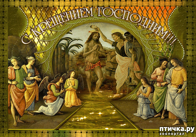 ���� 4: � ��������� ���������, ������� ��� ������!