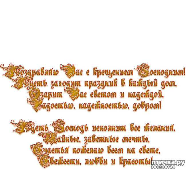 ���� 6: � ��������� ���������, ������� ��� ������!