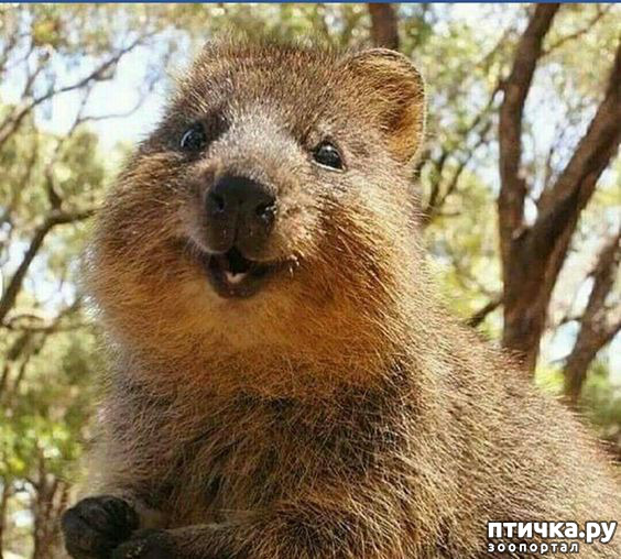 ���� 2: ����� ����������� �������� �� �����. ������.