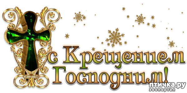 ���� 5: � ��������� ���������, ������� ��� ������!