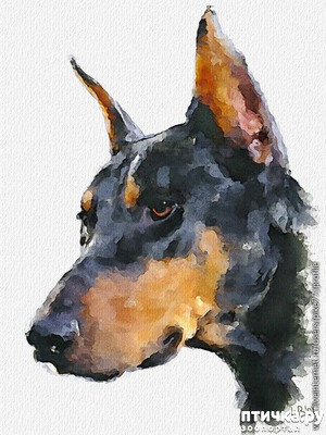 фотография: РАЗ КОТЛЕТКА. ДВА КОТЛЕТКА.. БУДЕТ ЛЕСЕНКА (Записки старого эксперта) фото: РАЗ КОТЛЕТКА. ДВА КОТЛЕТКА.. БУДЕТ ЛЕСЕНКА (Записки старого эксперта)