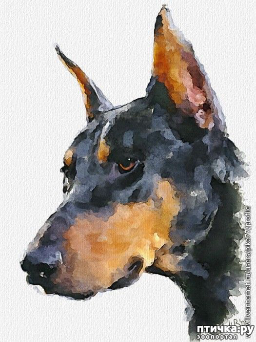 ���� 1: ��� ��������. ��� ��������.. ����� ������� (������� ������� ��������)