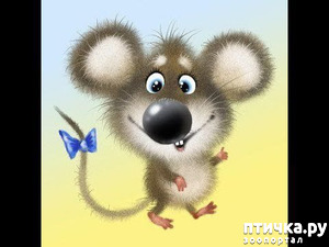 фотография: Бравый и его друзья - ч.4 фото: Бравый и его друзья - ч.4