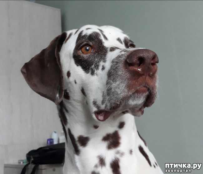 ���� 1: ���������. ���������� ����������.