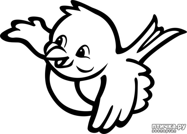 ���� 3: ������ � ��� ������ - �.5