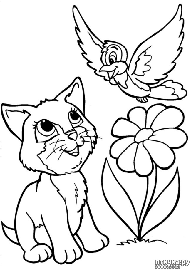 ���� 5: ������ � ��� ������ - �.5