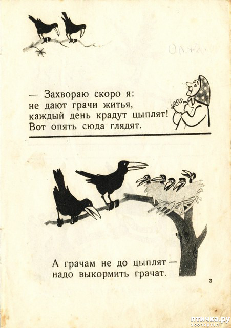 ���� 3: ������ �������������