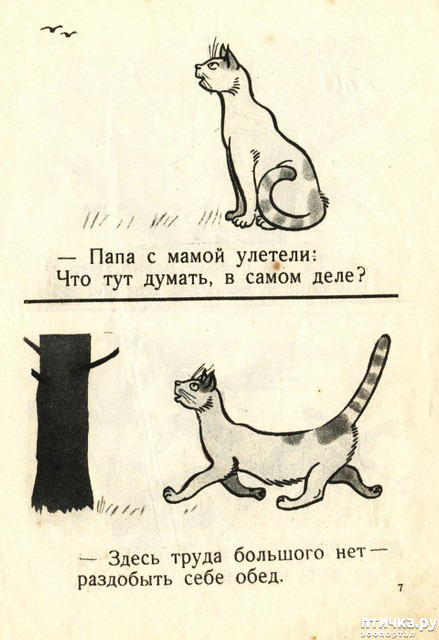 ���� 7: ������ �������������