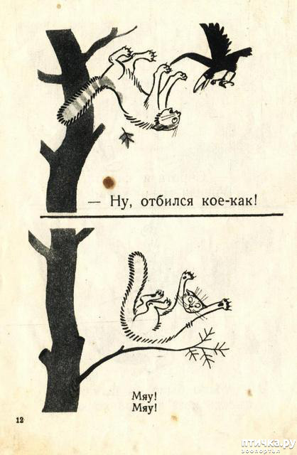 ���� 12: ������ �������������