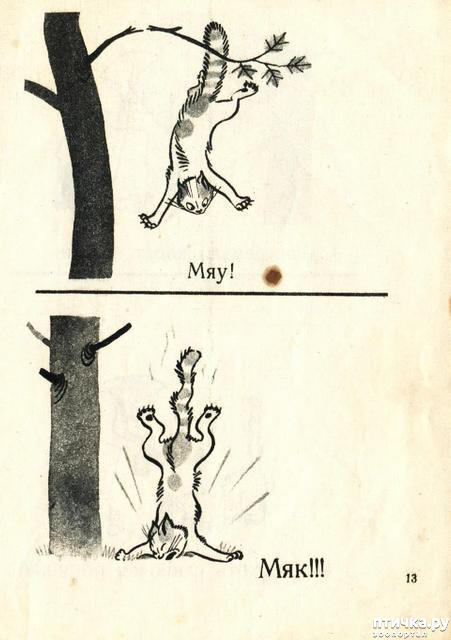 ���� 13: ������ �������������