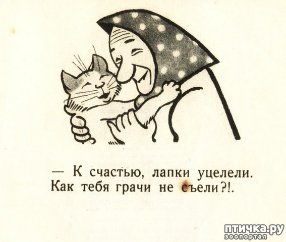 ���� 14: ������ �������������