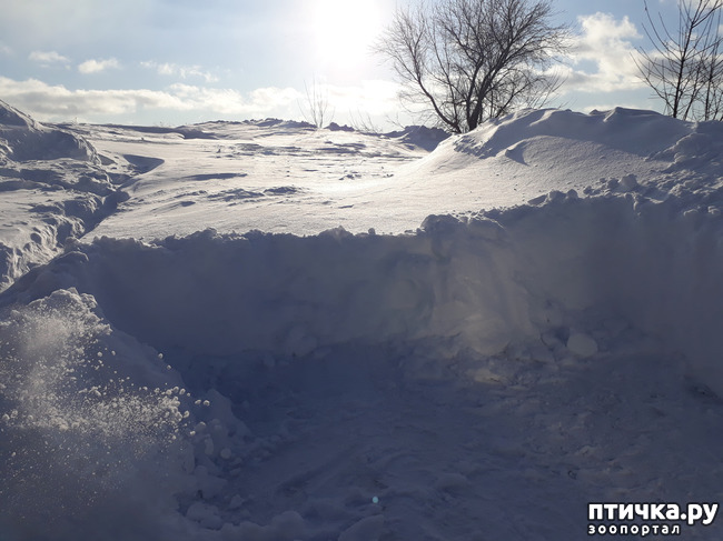 ���� 4: ���������. ���������� ����������.