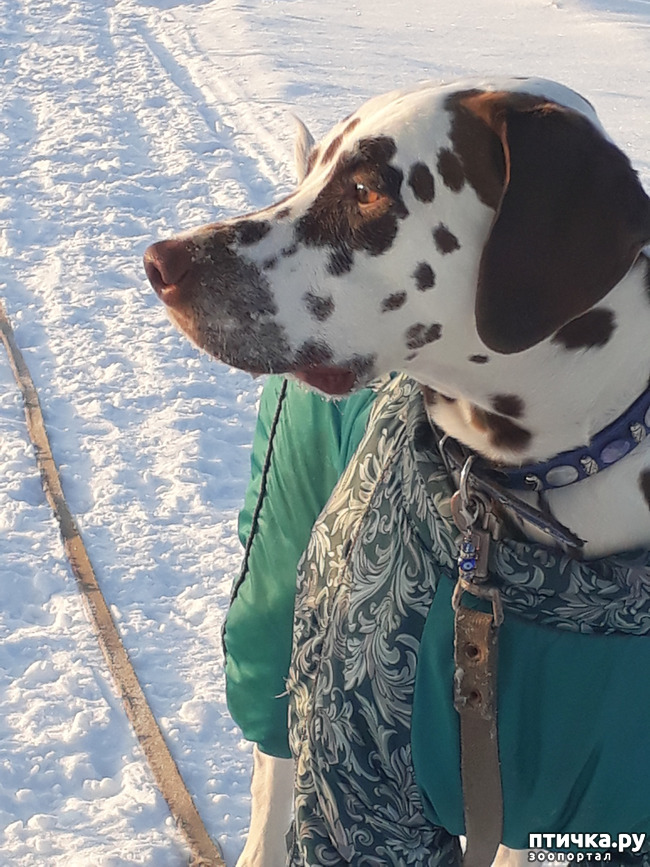 ���� 2: ���������. ���������� ����������.