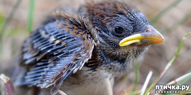 ���� 1: ������ � ��� ������ - �.5