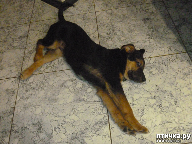 ���� 2: �� �����!) ���� �����